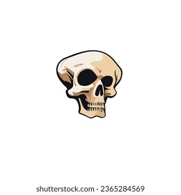 Pirate skull flat vector design