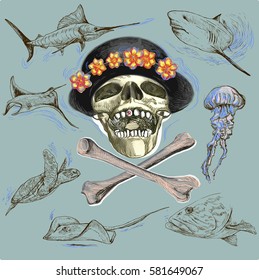 Pirate skull and underwater life - an hand drawn vector. Freehand sketching.