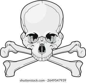 pirate symbol skull with crossbones isolated on white background