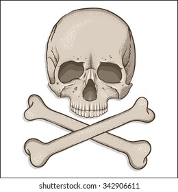 Pirate symbol - skull and two crossed bones. Human skull illustration in cartoon design. Print for textile.  