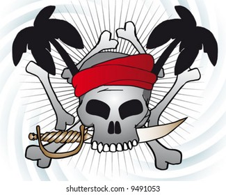 pirate_skull_2