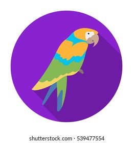 Pirate's parrot icon in flat style isolated on white background. Pirates symbol stock vector illustration.