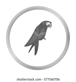 Pirate's parrot icon in monochrome style isolated on white background. Pirates symbol stock vector illustration.