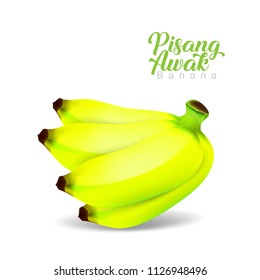 Pisang Awak banana realistic close up. Bunch of bananas almost ripe isolated on white background. Vector illustration