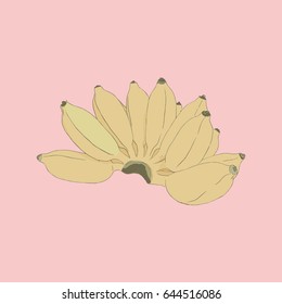 Pisang Awak banana .Thai call Kluai Namwa.