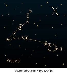 Pisces on a dark blue background, surrounded by stars. Constellation connected lines and decor.