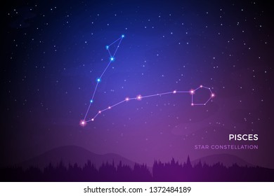Pisces star constellation on the beautiful night sky vector illustration