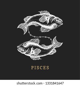 Pisces zodiac symbol, hand drawn in engraving style. Vector graphic retro illustration of astrological sign Fishes.