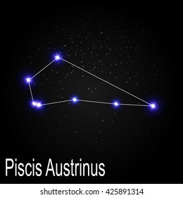 Piscis Austrinus Constellation with Beautiful Bright Stars on the Background of Cosmic Sky Vector Illustration EPS10