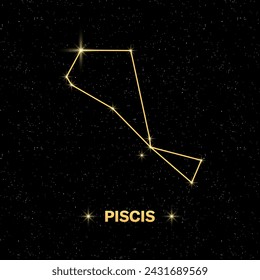 Piscis constellation icon. Starry sky. Flat style. Vector illustration