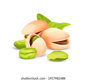 Pistache nut composition, different statements. Whole and cracked nuts, hulled and raw kernels and green leaves. Good for labels and stickers, packaging design. Vector illustration isolated on white