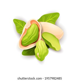 Pistache nut composition, top view. Whole and cracked nuts, hulled and raw kernels and green leaves. Good for labels and stickers, packaging design. Vector illustration isolated on white