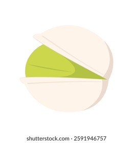 Pistachio cartoon vector isolated. Pistachio icon. Vector illustration. Isolated.