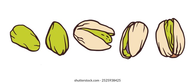 Pistachio. Delicious tasty nuts snack, raw nuts in shell vector doodle illustration set. Crunchy pistachio nuts on white for package, menu, recipe, cookbook design