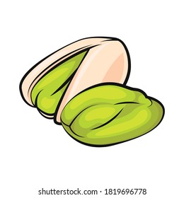 Pistachio flat cartoon vector illustration on white. Pistachio nuts vector. Flat Pistachio. 