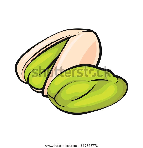 Pistachio flat cartoon vector illustration on white. Pistachio nuts