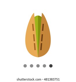 Pistachio flat icon