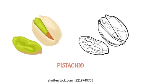 Ilustración plana de Pistachio coloreada y delineada. Nuez vectorial aislada en blanco. Esbozo simple de iconos.