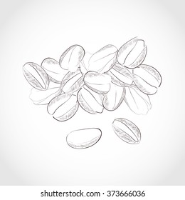 Pistachio. Group. Black and white image. Dried fruits. Sketch.
