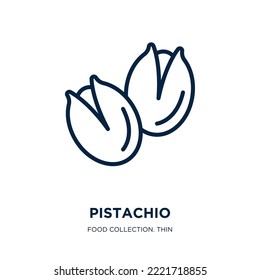 pistachio icon from food collection. Thin linear pistachio, natural, collection outline icon isolated on white background. Line vector pistachio sign, symbol for web and mobile