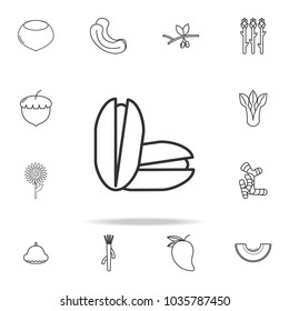 Pistachio icon. Set of fruits and vegetables icon. Premium quality graphic design. Signs, outline symbols collection, simple thin line icon for websites, web design, mobile app on white background