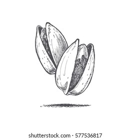 Pistachio Illustration By Hand, Walnut, Retro Style, Vector Object