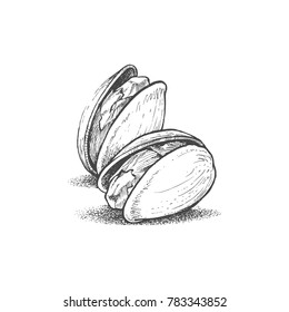 Pistachio Illustration By Hand, Walnut, Retro Style, Vector Object