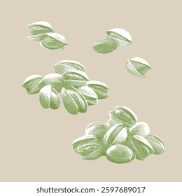 Pistachio illustration, halftone vector line drawing on beige background.