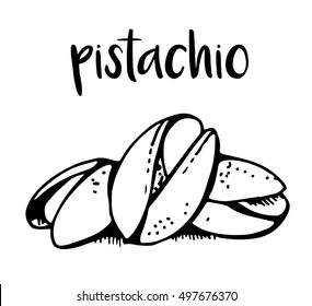 Pistachio isolated on white background, nuts vector illustration