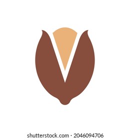 Pistachio Nut Colorful Vector Logo Icon