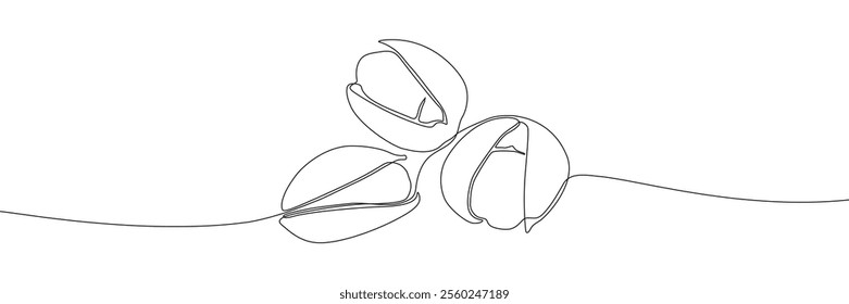 Pistachio nut continuous line drawing vector illustration