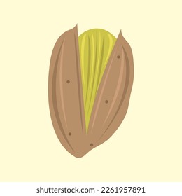 Pistachio nut flat vector illustration. Cute organic green pistachio nut cartoon vector illustration for graphic design and decorative element