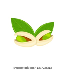 Pistachio nut with green leaves vector illustration isolated on white background.