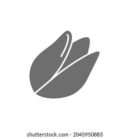 Pistachio nut grey icon. Isolated on white background