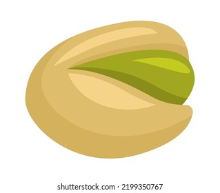 Pistachio Nut. Healthy Food. Vector Illustration