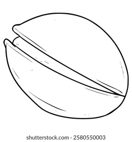 pistachio nut illustration hand drawn outline vector