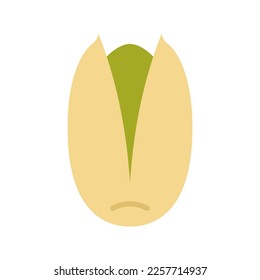 Pistachio nut isolated on white background. Vector illustration