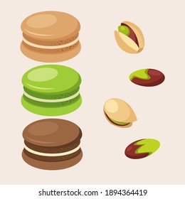 Pistachio nut macaron cookies. Food vector illustration. French pastry desser macarons. Confectionary hand drawn illustration.