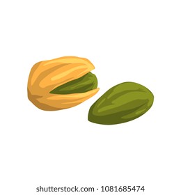 Pistachio nut, nutritious natural product vector Illustration on a white background