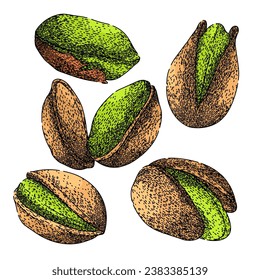 conjunto de nueces de pistacho dibujado a mano. alimento de ingrediente, boceto orgánico asado de vectores de nuez de concha sana de pistacho. ilustración de color aislado
