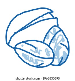 pistachio nut sketch icon vector. Hand drawn blue doodle line art pistachio nut sign. isolated symbol illustration