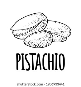 Pistachio nut with and without shell. Vector engraving black vintage illustration. Isolated on white background.