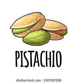Pistachio nut with and without shell. Vector engraving color vintage illustration. Isolated on white background.