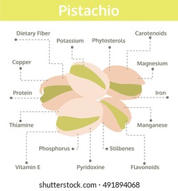 pistachio nutrient of facts and health benefits, info graphic nut, food vector
