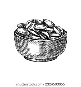 Pistachio nuts in bowl vector illustration. Hand-drawn healthy food drawing. Organic product, snack for vegetarians in sketch style.  Design element for recipes, menus, labels, packaging, 