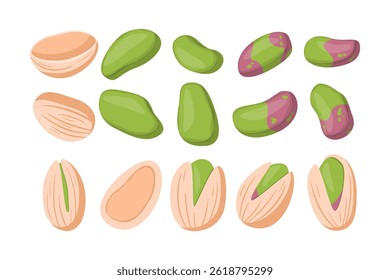 Pistachio Nuts Collection. Cartoon Flat Food Vector Illustration. 