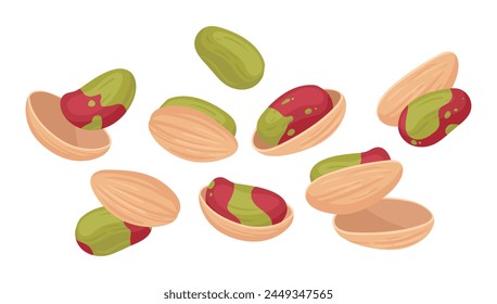 Pistachio nuts. Delicious tasty pistachios nuts snack, cartoon raw nuts in shell flat vector illustration set. Crunchy pistachio nuts on white