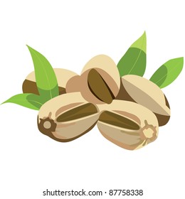 pistachio nuts with leaves