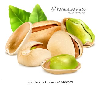Nueces de pistacho con hojas. Ilustración vectorial.