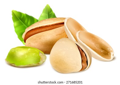 Pistachio nuts with leaves. Vector illustration.